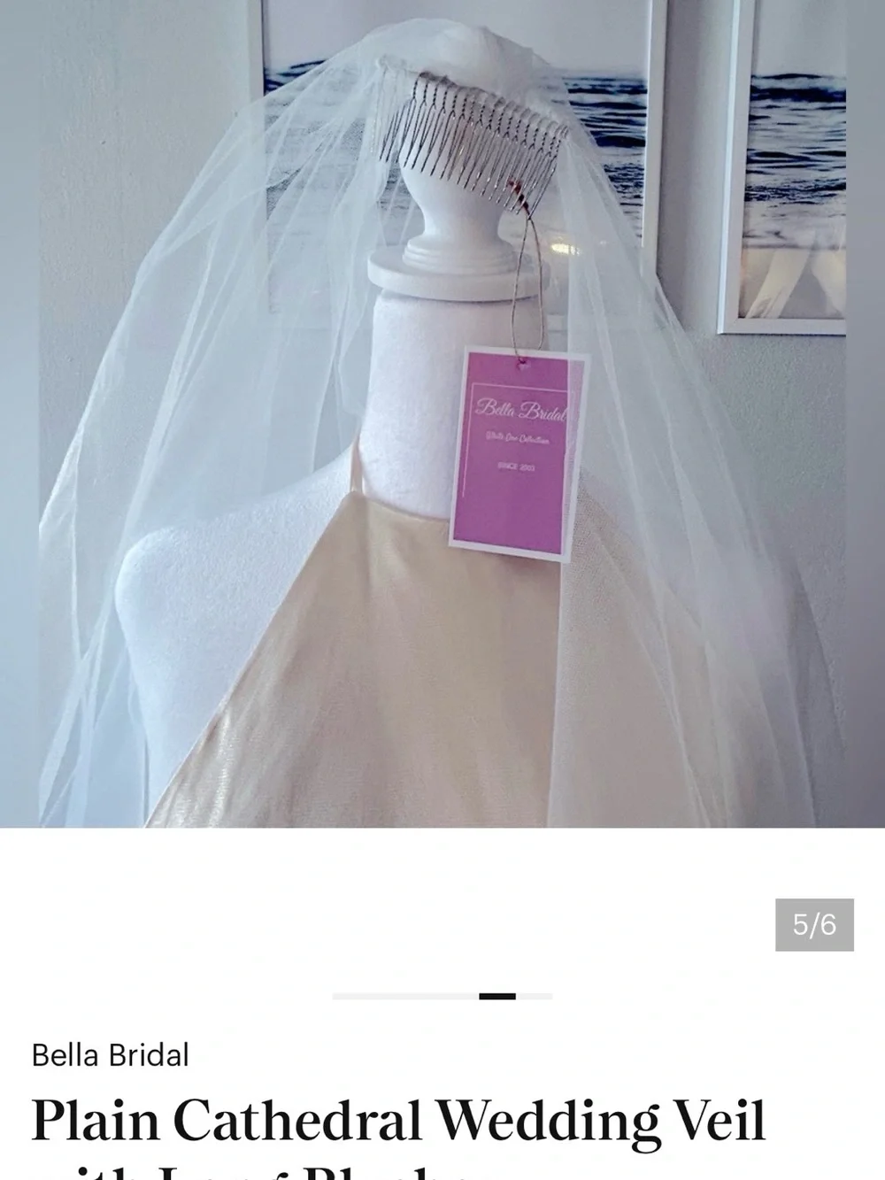White Cathedral Wedding Veil